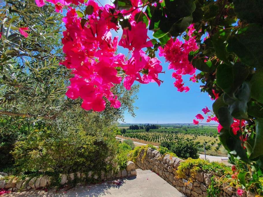 Villa Calma Noto Dış mekan fotoğraf